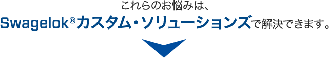 これらのお悩みは、Swagelok®カスタム・ソリューションズで解決できます。